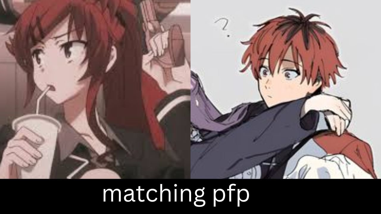 matching pfp