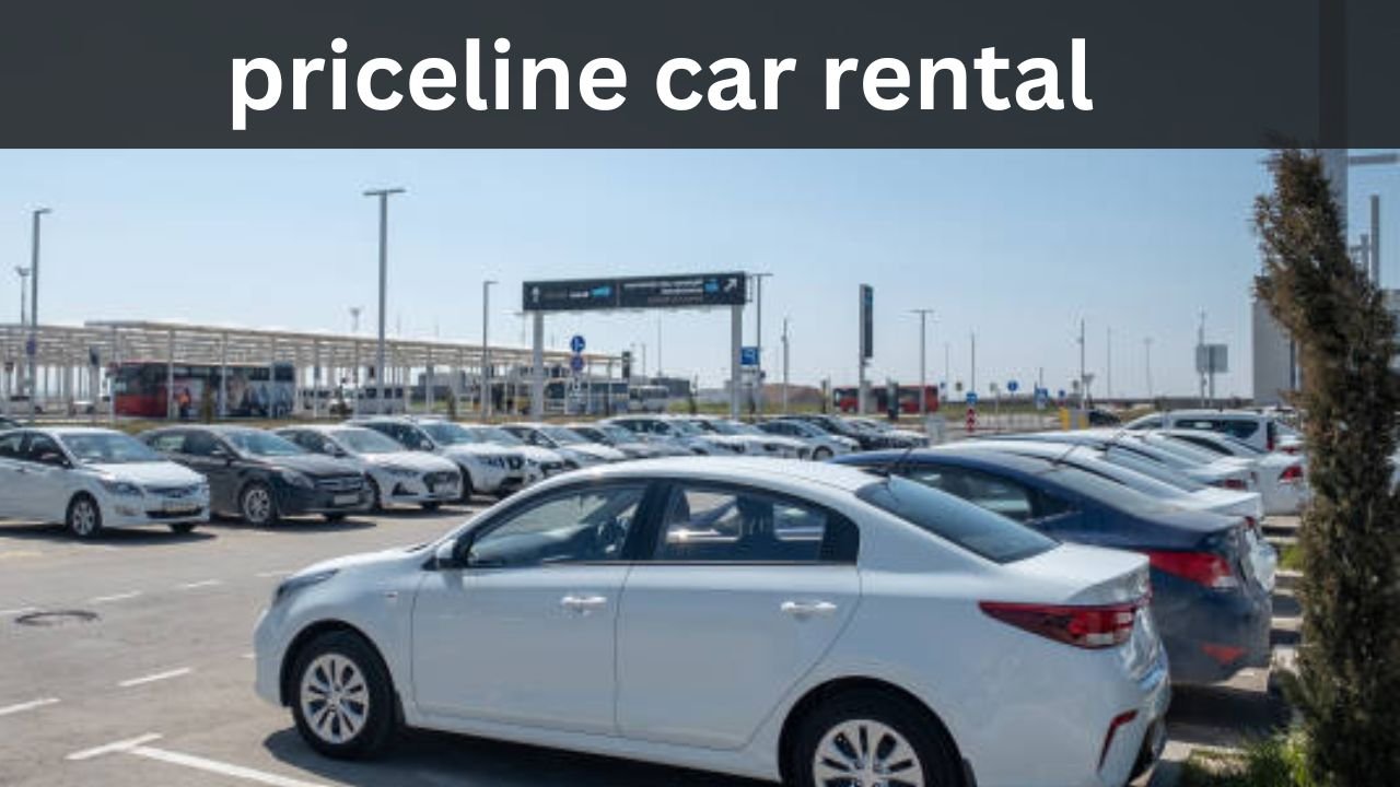 priceline car rental
